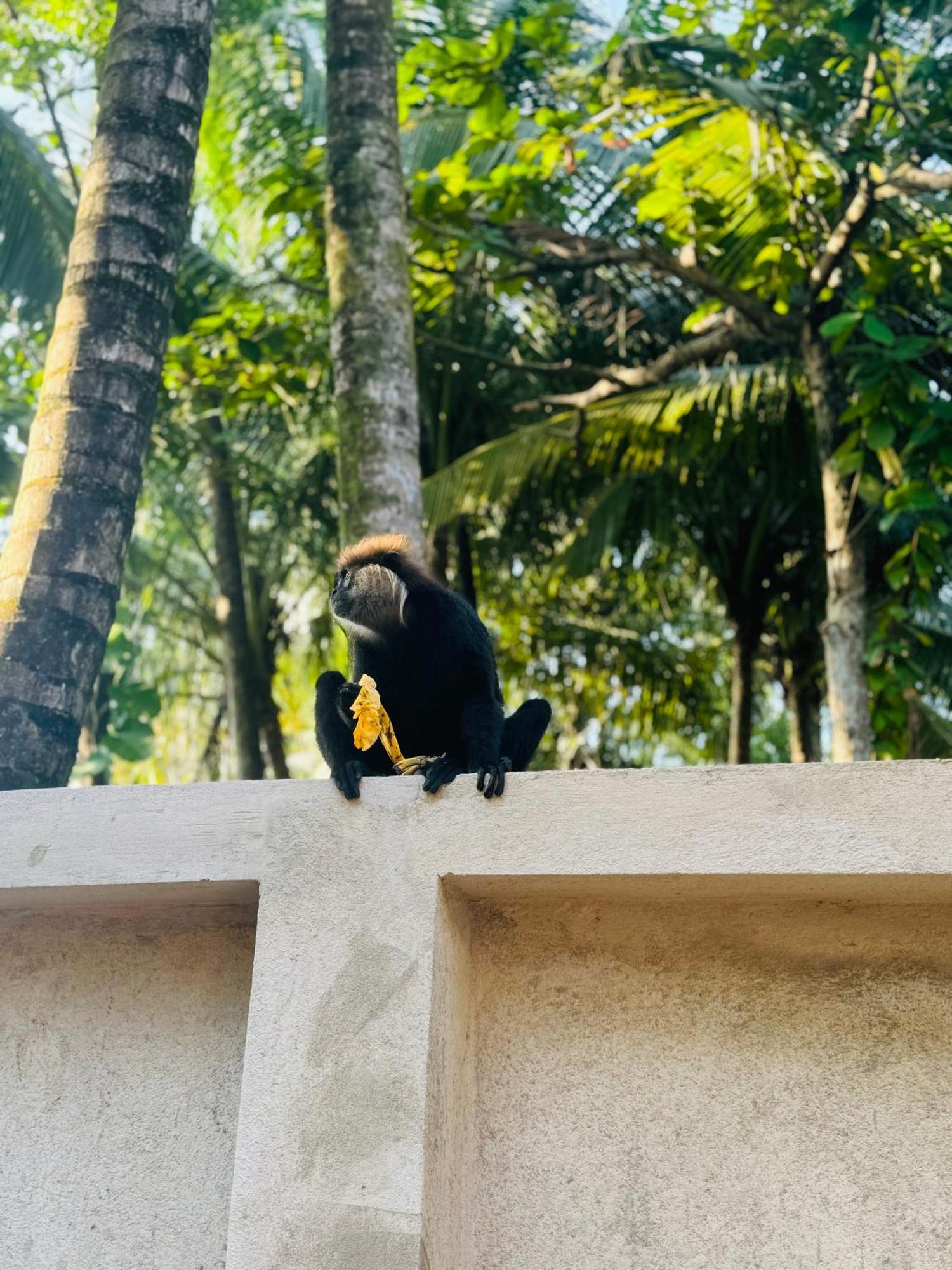 Brinkhouse Guesthouse , Unawatuna Beach エクステリア 写真